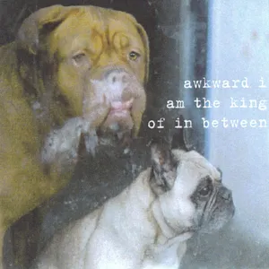 Am the king of in between